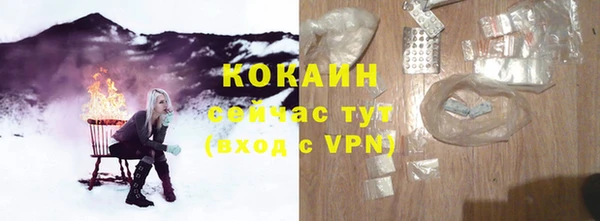 гидра Вязники