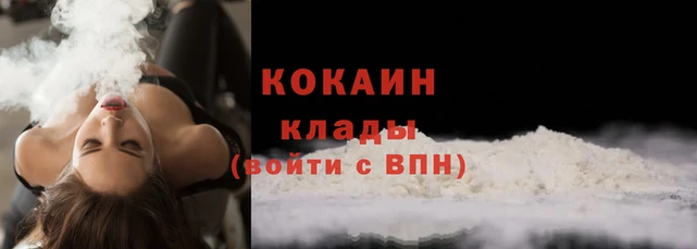гидра Вязники
