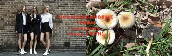 экстази Вяземский