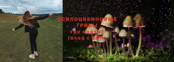 экстази Вяземский